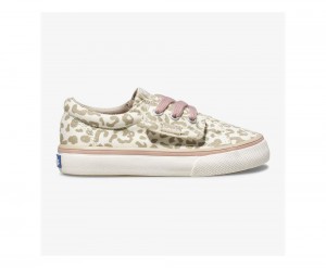 Keds Jump Kick Jr. Kiz Çocuk Spor Ayakkabı Leopar | IGY249578